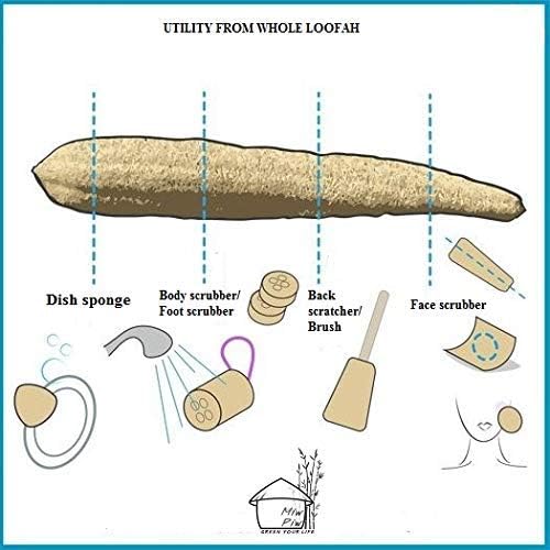 Miw Piw Natural Whole Loofah 3 Pcs